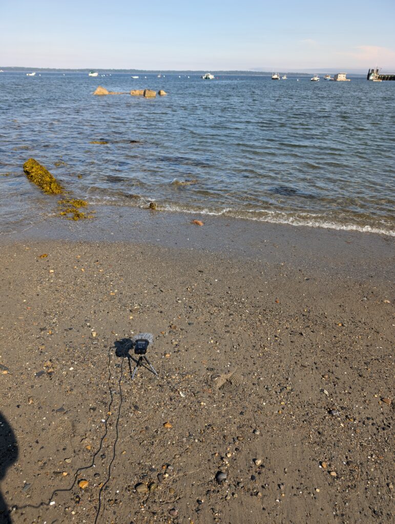 Zoom H4N microphone set up on the sand looking out onto the ocean