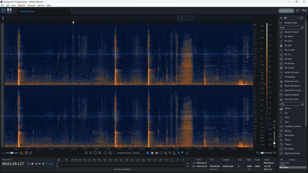 Screenshot of an audio waveform with spectrogram in Izotope RX