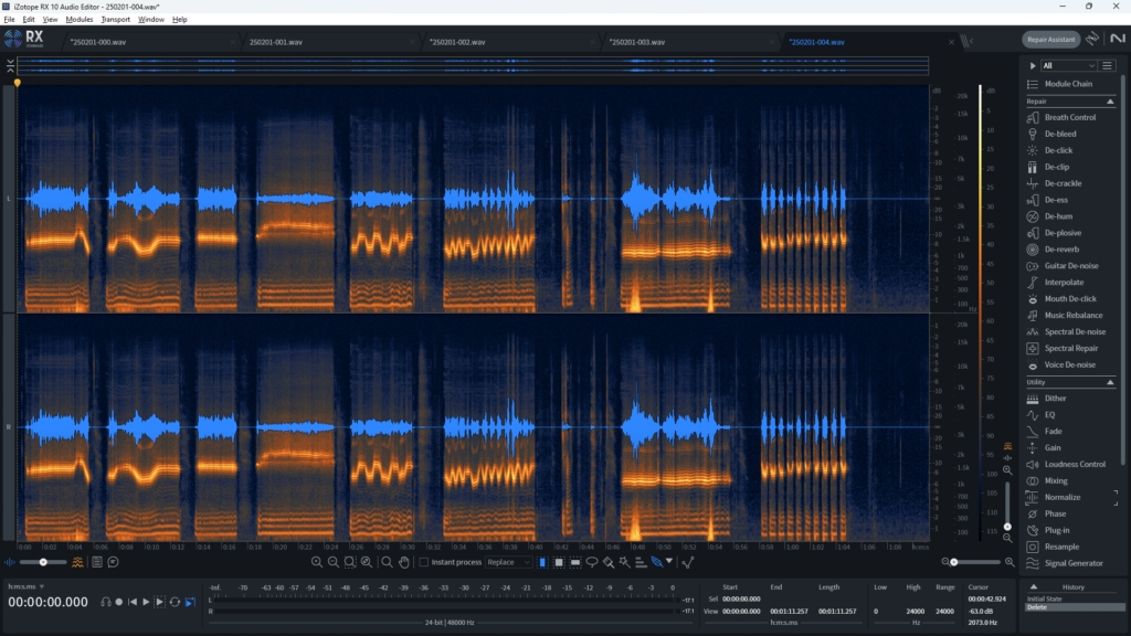 Screenshot of an audio waveform with spectrogram in Izotope RX