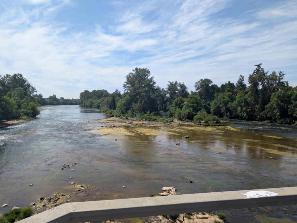 A bright, sunny day on the bridge looking out on the Willamette river. You see lots of greenery in the distance