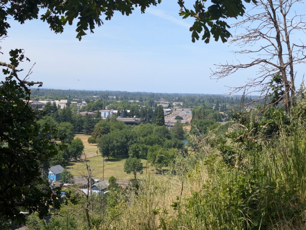 A bright, sunny day on Skinners butte looking out on the city of Eugene. You see lots of buildings in the distance