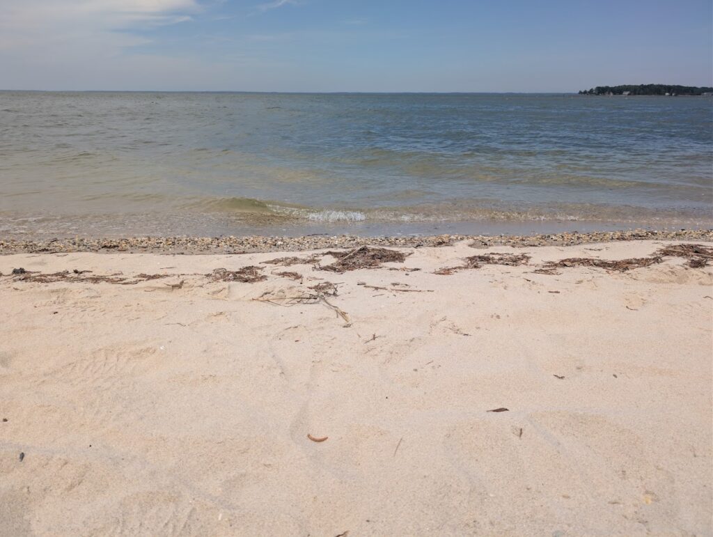 Close up picture of the beach. Picture was taken on the shore
